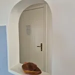 公寓 
